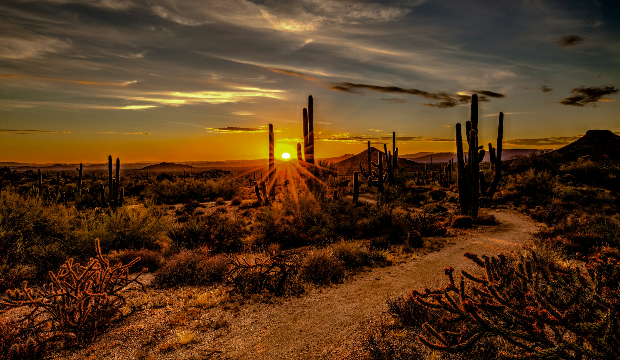 North Scottsdale